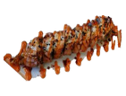 Torched Spicy Red Dragon Roll 